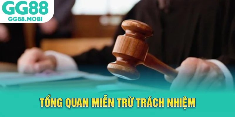 Tổng quan miễn trừ trách nhiệm